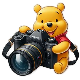 Winnie Pooh mit Fotoapparat